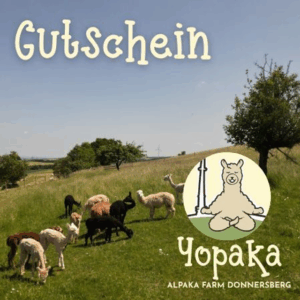 Gutschein YOPAKA